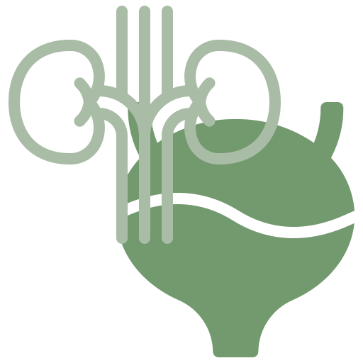 doencas-da-adrenal-dra-mariana-ataide