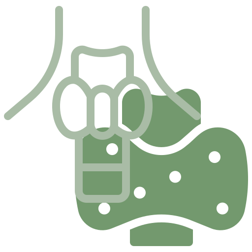 tireoide-dra-mariana-ataide
