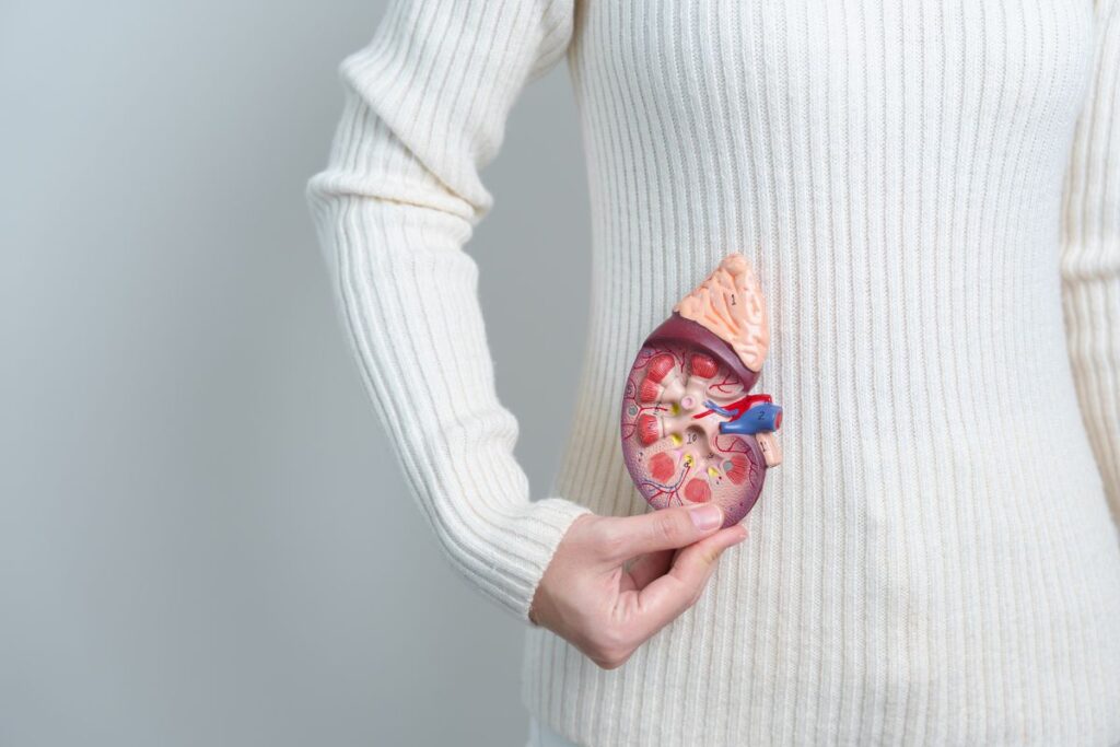 tratamento-doenca-adrenal-sao-paulo-dra-mariana-ataide-medica-endocrinologista-sp