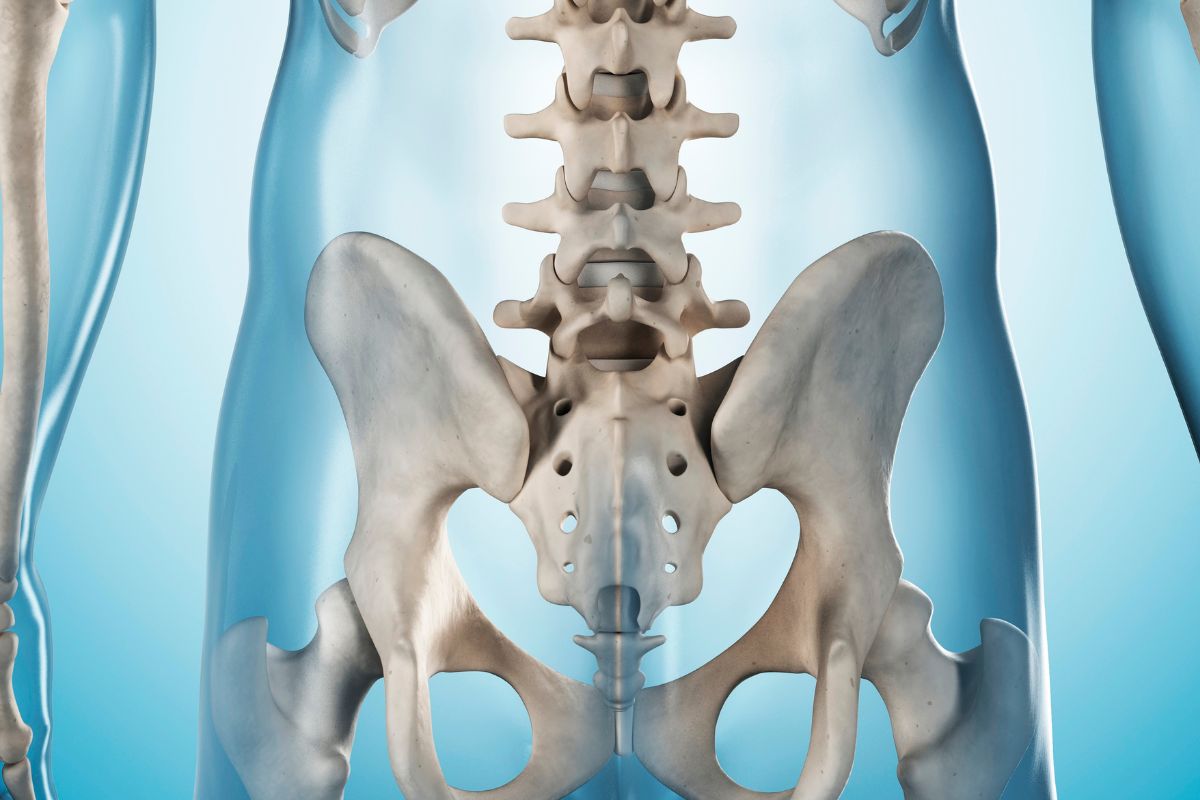 metabolismo-osseo-doencas-dra-mariana-ataide-endocrinologista-sao-paulo